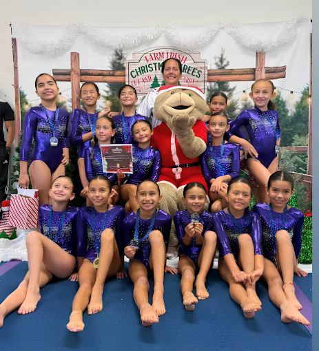 equipo competitivo de gimnasia en Sweetwater